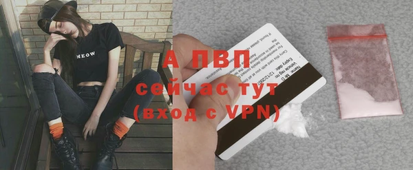 хмурый Волосово